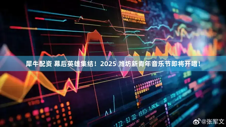 犀牛配资 幕后英雄集结！2025 潍坊新青年音乐节即将开唱！