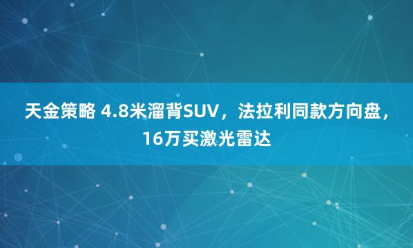 天金策略 4.8米溜背SUV，法拉利同款方向盘，16万买激光雷达