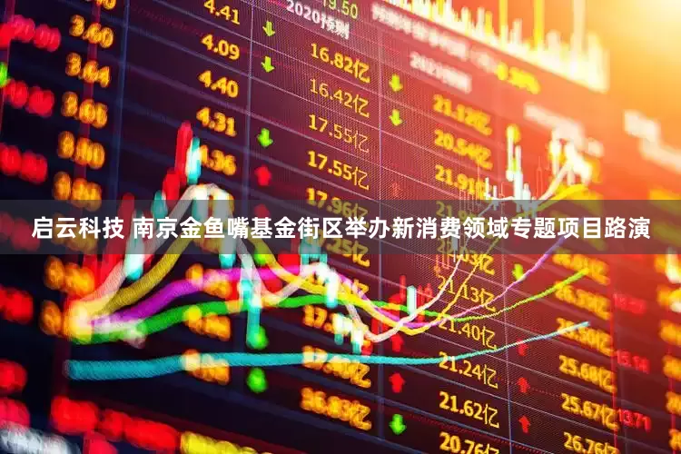 启云科技 南京金鱼嘴基金街区举办新消费领域专题项目路演